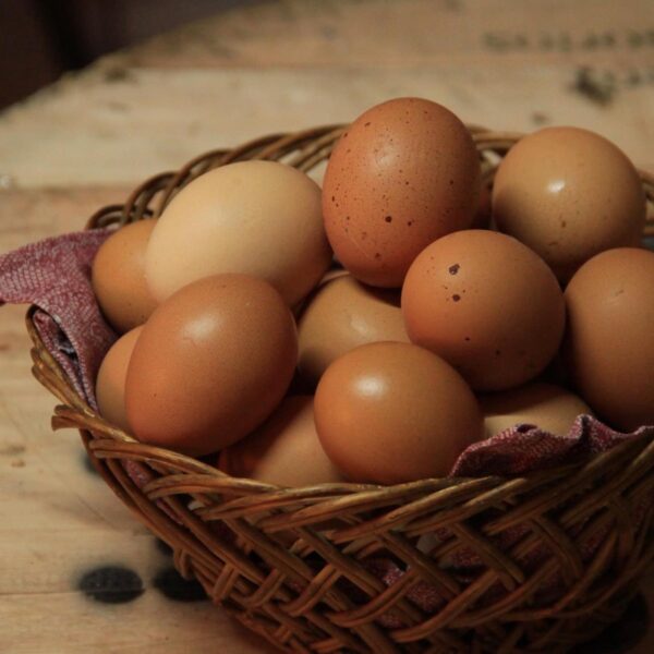 Huevos De Gallinas Criadas En Libertad x Media Docena