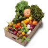 Canasta COMPLETA de 5 kilos Fruta y Verdu