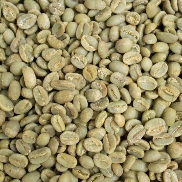 Tintura Madre Cafe Verde "Sabvia" 60cc