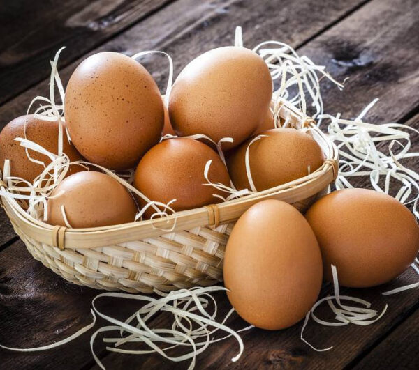 Huevos De Gallinas Criadas En Libertad X Docena