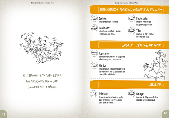 Botiquin de Plantas, Medicina Viva- Isabel Serdiuk-Marina Cordoba - Image 3